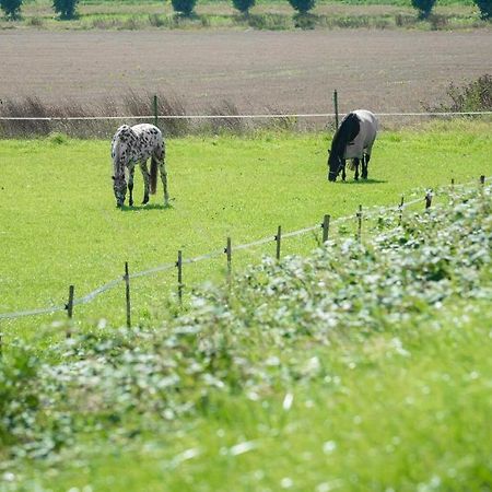 Chalet Stal Veersedam カンペルラント エクステリア 写真